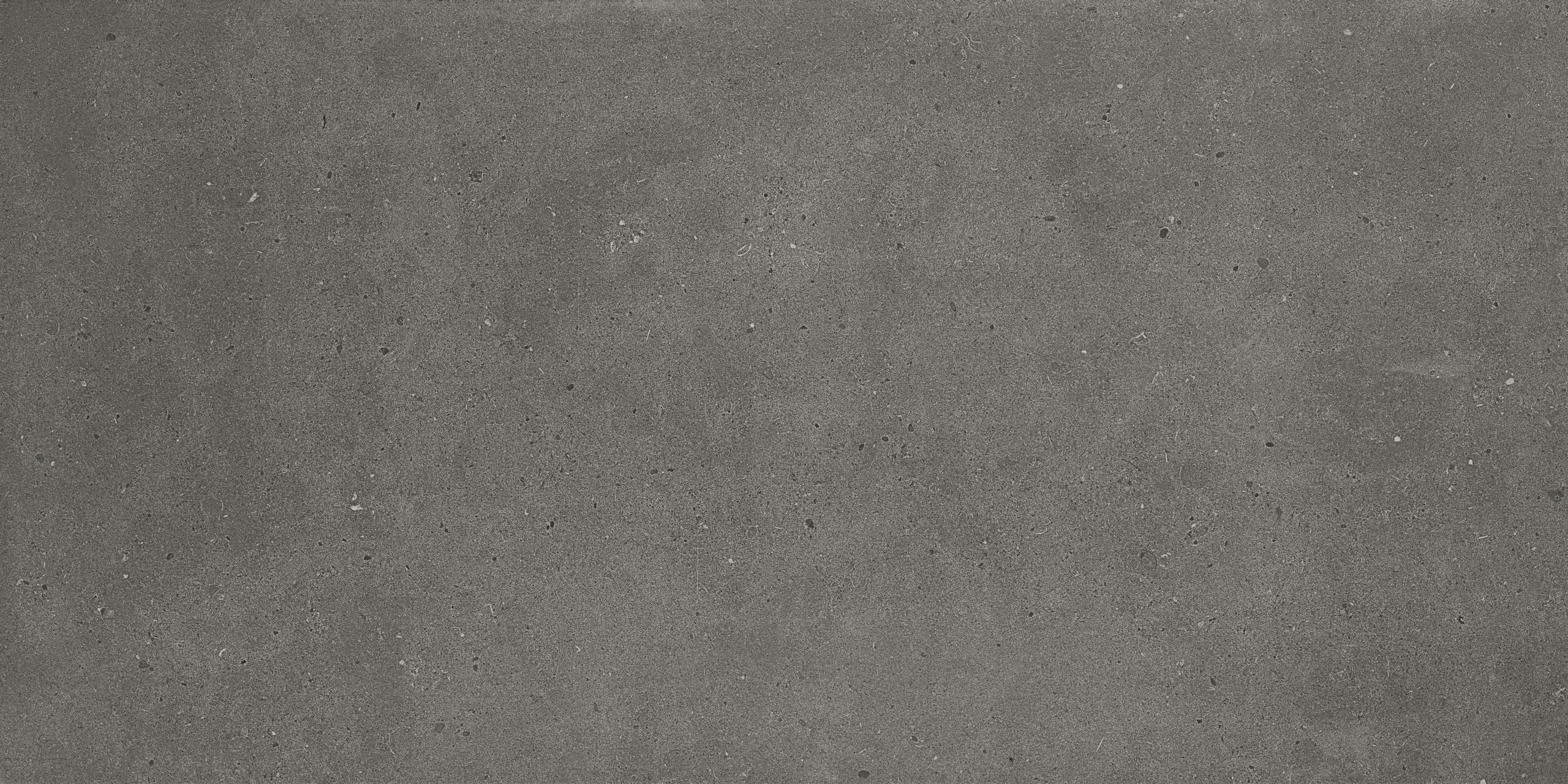 DUSTY FJORD