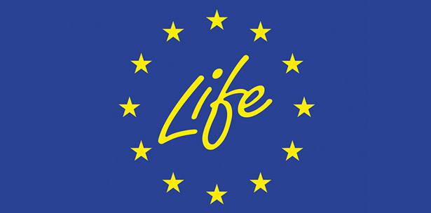 PROYECTO LIFE+: NUEVA META PARA ACTIVE