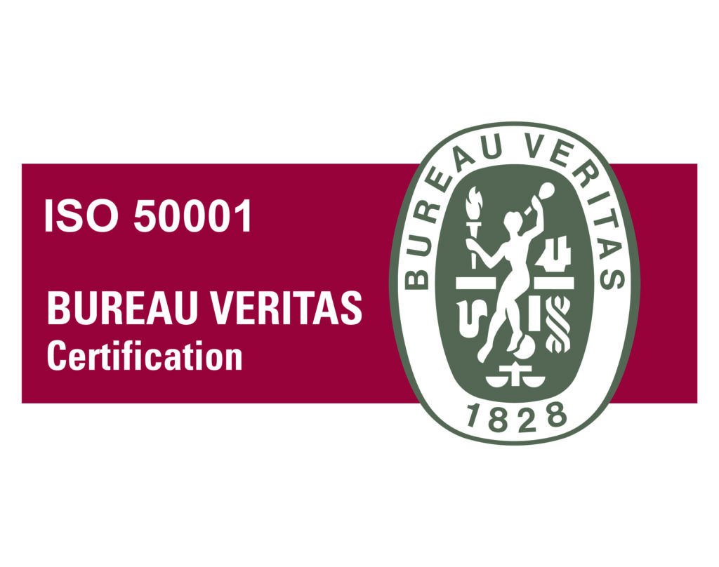 UNI CEI EN ISO 50001