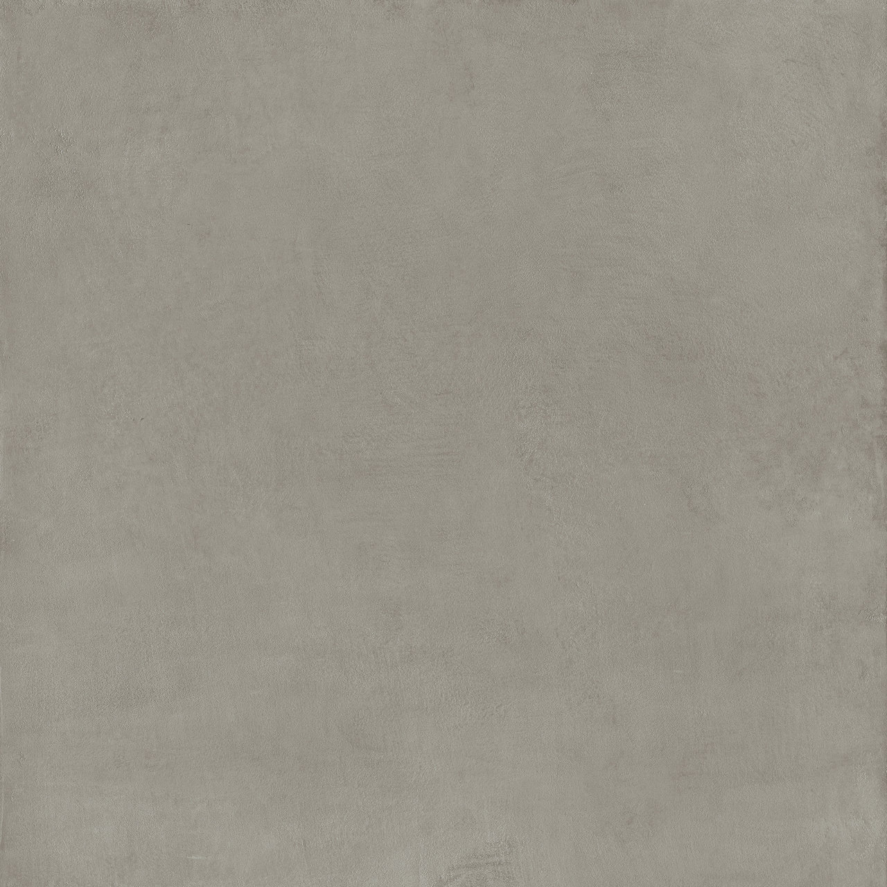 Immagine senza descrizione