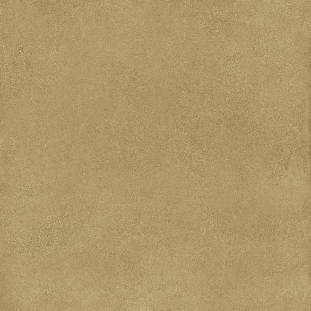 Immagine senza descrizione