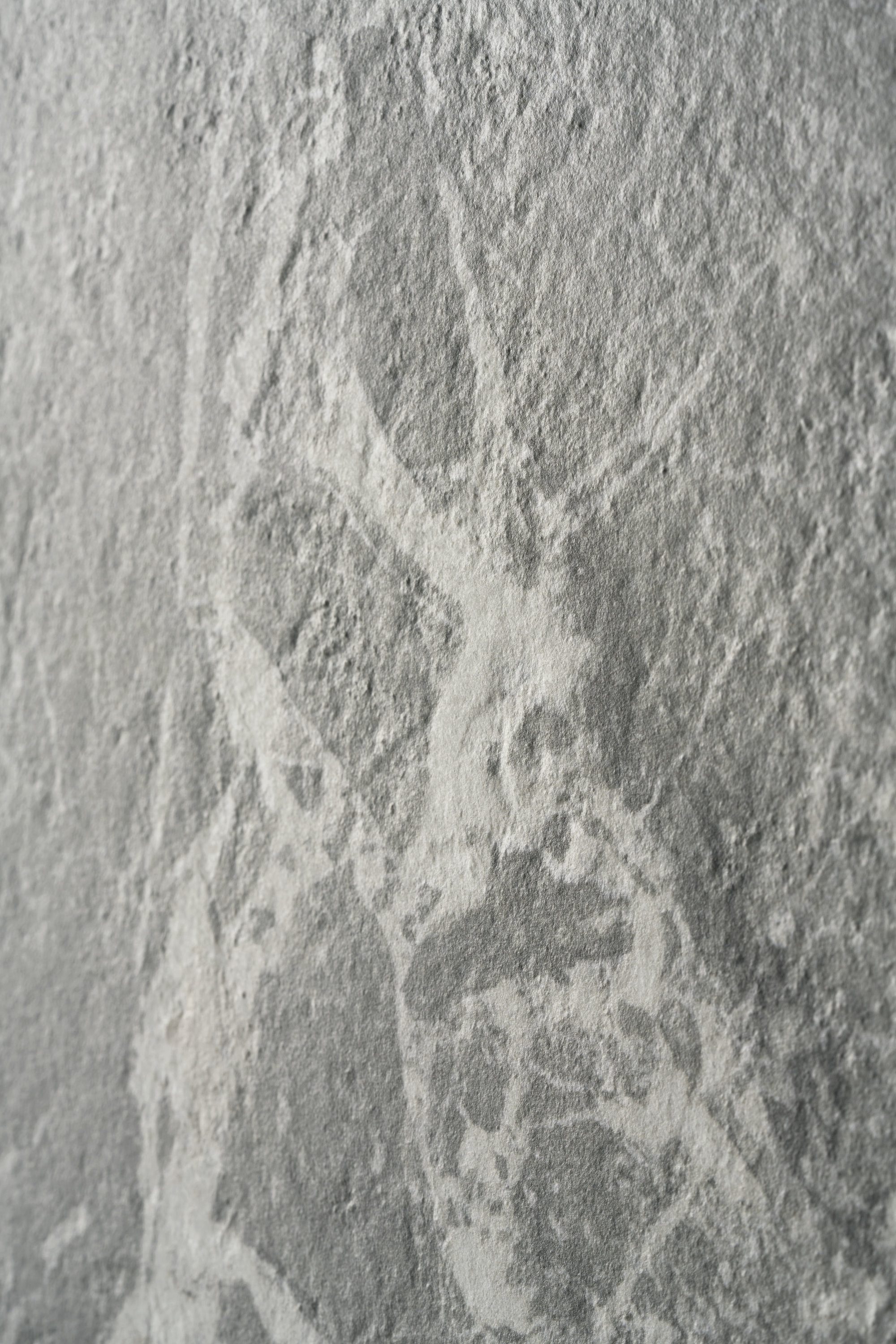 Immagine senza descrizione