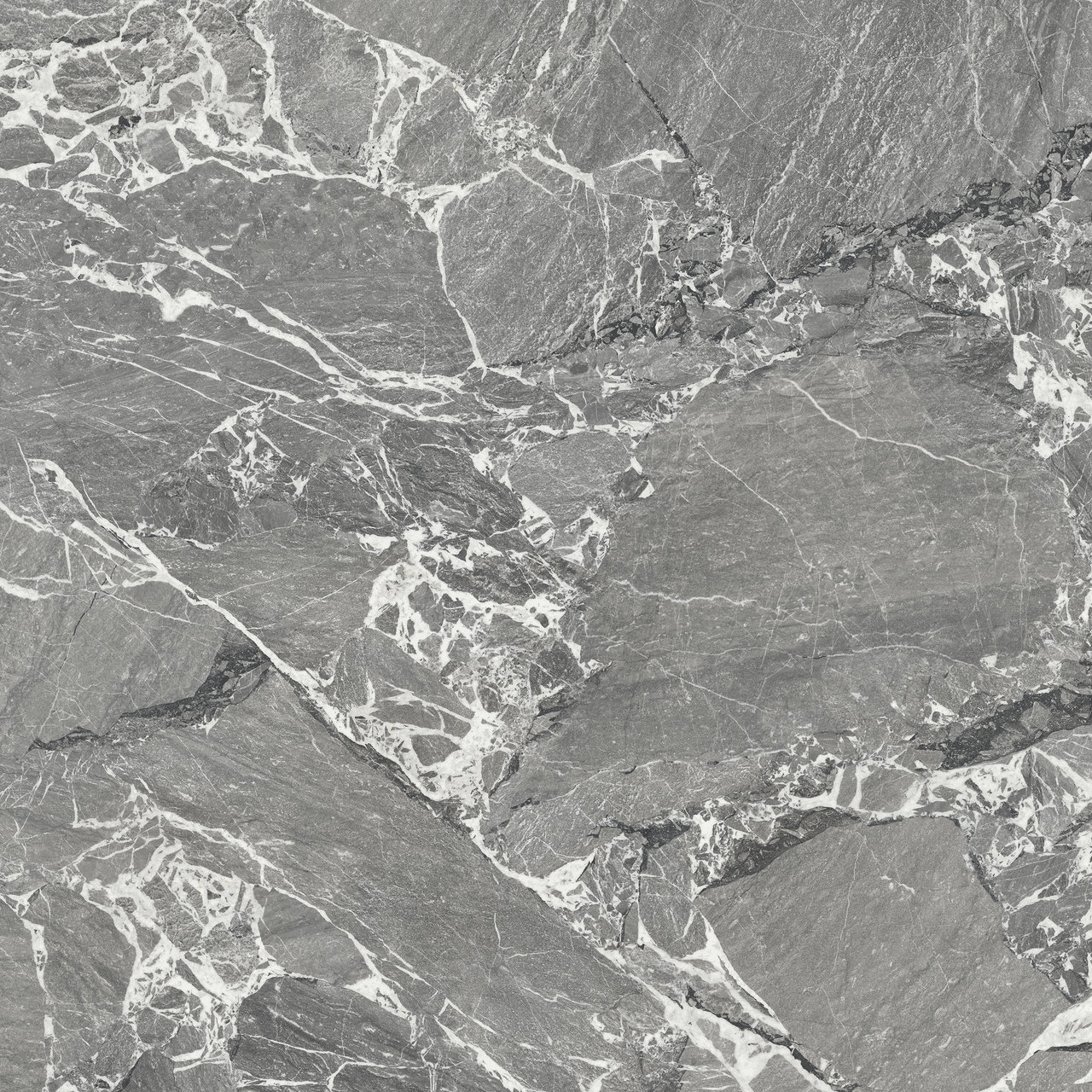 Immagine senza descrizione