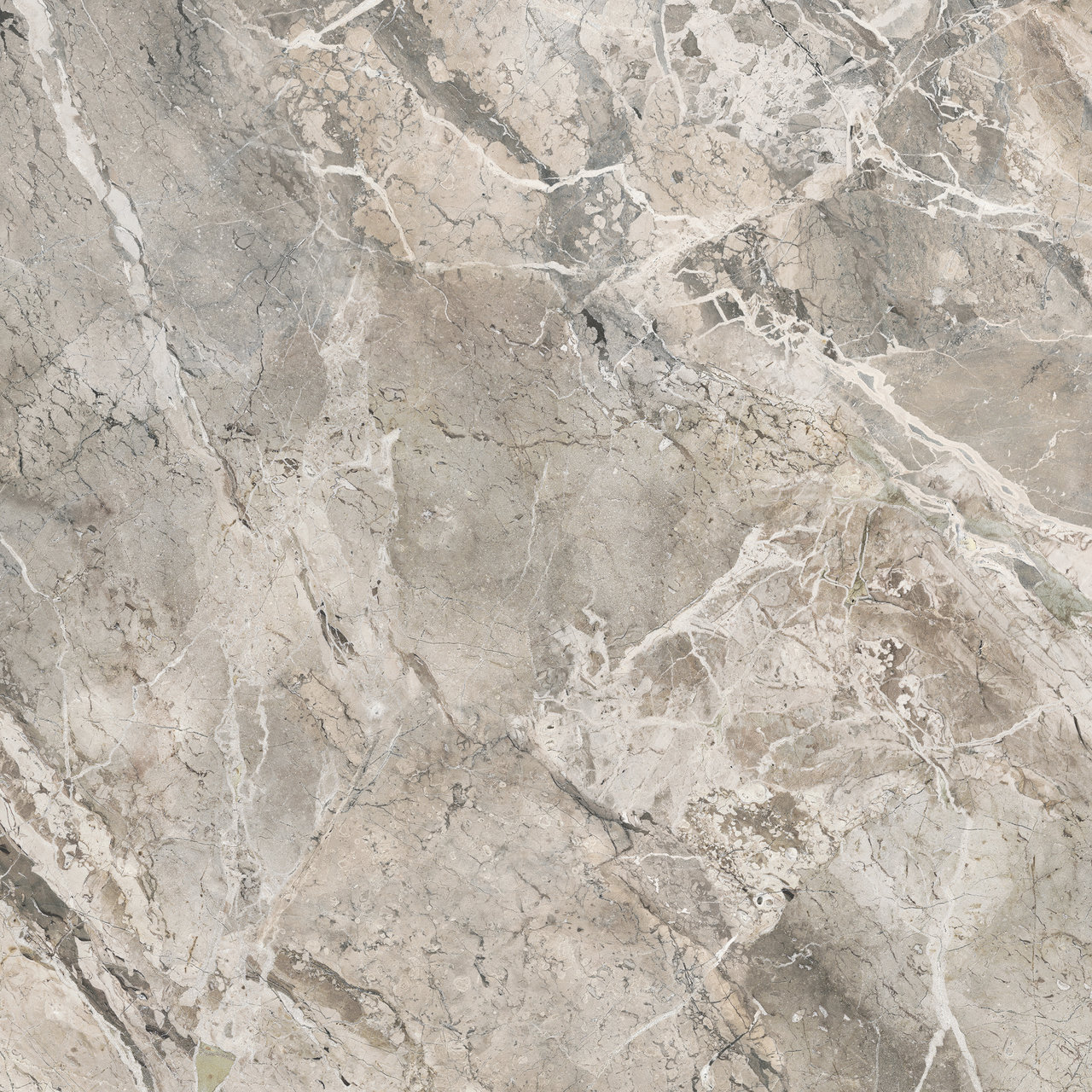 Immagine senza descrizione