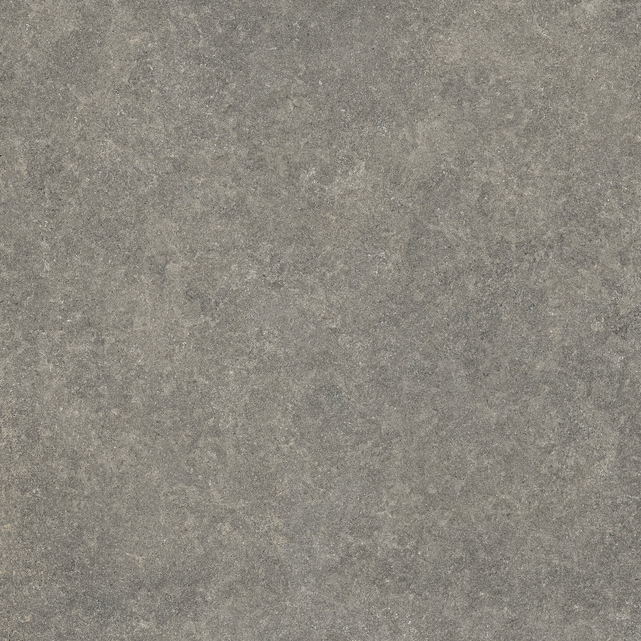 Immagine senza descrizione