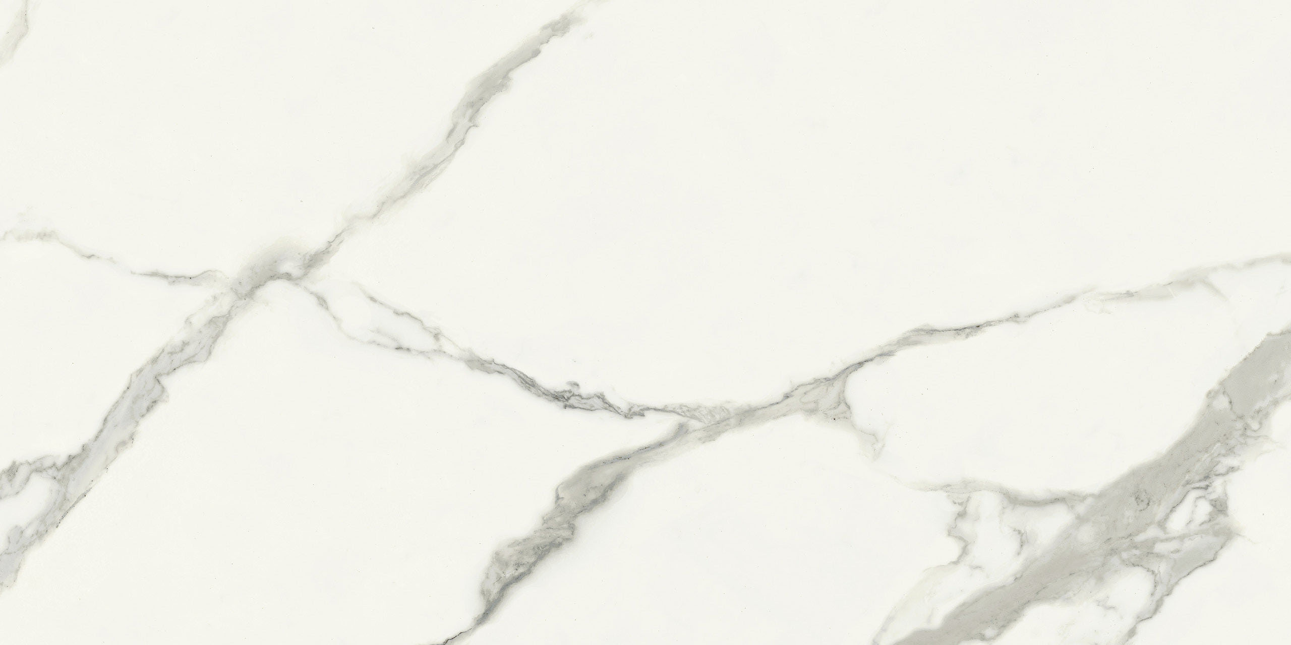 Immagine senza descrizione