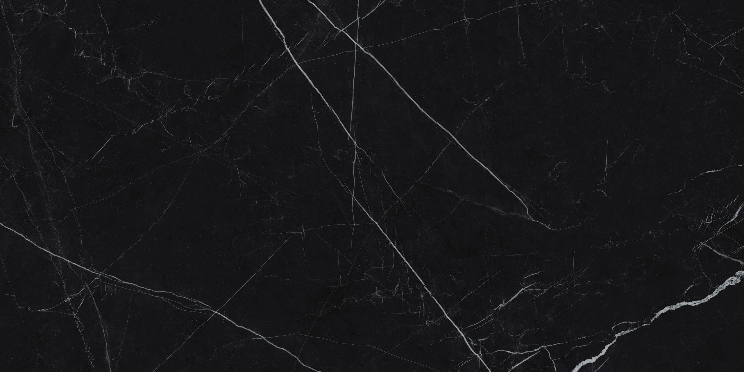 Immagine senza descrizione