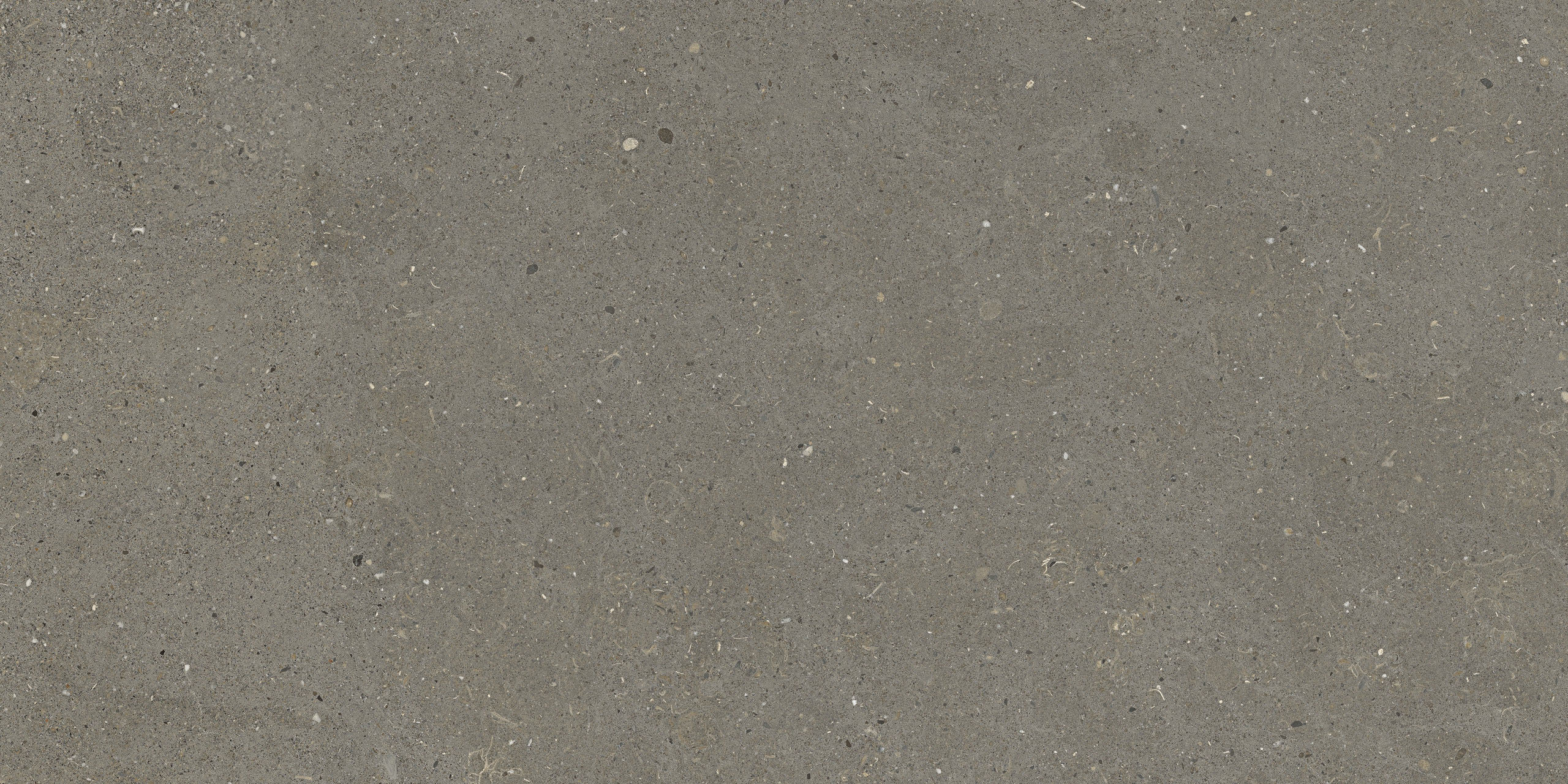 Immagine senza descrizione