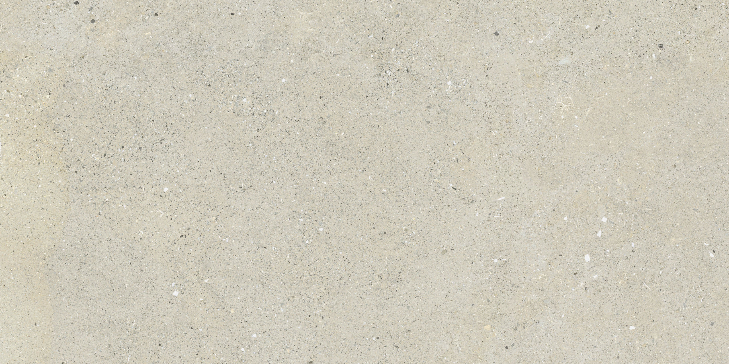 Immagine senza descrizione