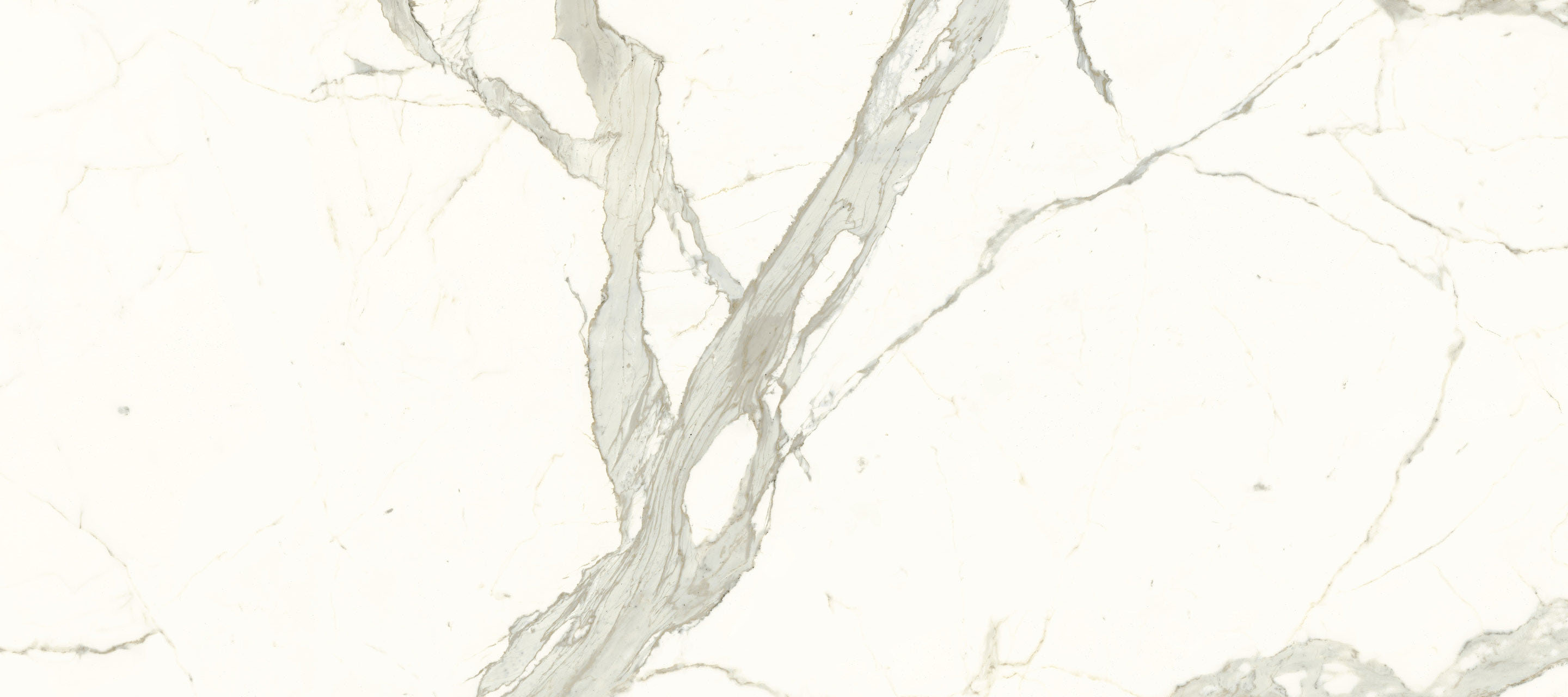 Immagine senza descrizione